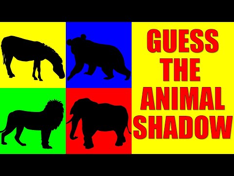 Guess the Animal from Their Shadow | Quiz Game for Kids, Preschoolers and Kindergarten