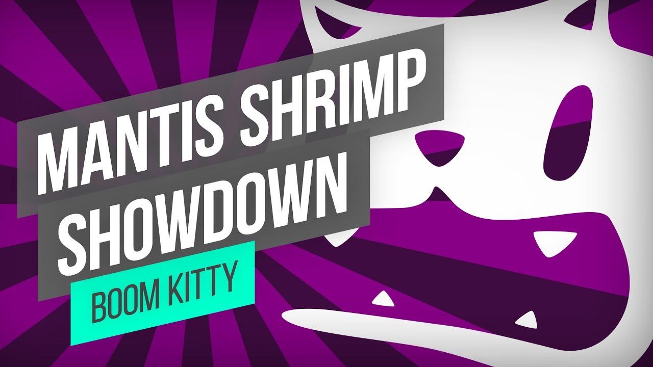 Mantis Shrimp Showdown Boomkitty Roblox Id Roblox Music Codes - roblox id songs shrimps