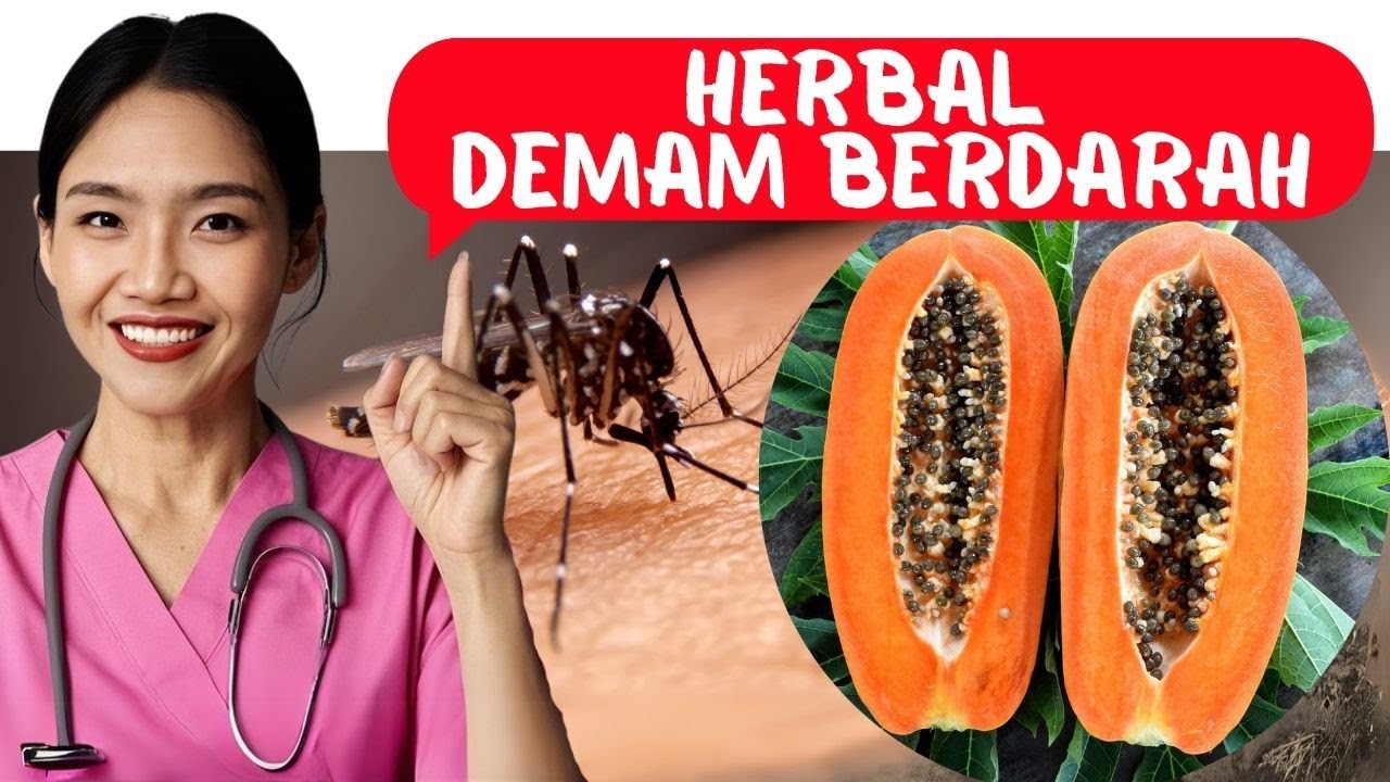 5 дешевых продуктов для лечения геморрагической лихорадки денге | Доктор Эммасуперр