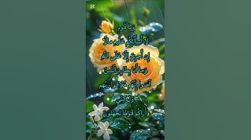 تلاوة مؤثرة من سورة هود الآية 29 بصوت خاشع يهزّ القلوب 🌿 | استمع بخشوع