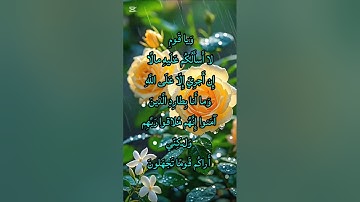 تلاوة مؤثرة من سورة هود الآية 29 بصوت خاشع يهزّ القلوب 🌿 | استمع بخشوع