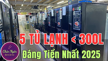 Top 5 Tủ Lạnh Dưới 300 Lít Nên Mua Năm 2025 | Hitachi – Panasonic – Samsung – Aqua | Chân Ngắn RV