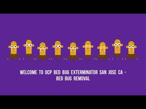 ⁣OCP Bed Bug Exterminator San Jose CA - Bed Bug Removal