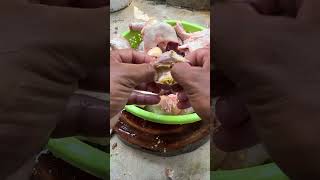 Cara Benar Bersihkan Ampla