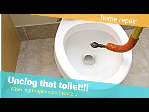 Amazing How To Unclog The Toilet With A Plunger Pictures - Best ... Amazing How To Unclog The Toilet With A Plunger Pictures - Best ...
