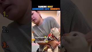 Ranking Most Aggressive Cats Moments🐱