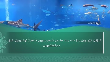 ته فسيرا ب ساناهي سورة(القلم)بدەنگی( تحسین إبراهيم دوسكي) قورئان خوين (محمد صديق المنشاوي)