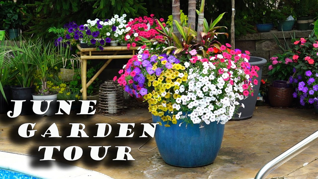 June Garden Tour YouTube
