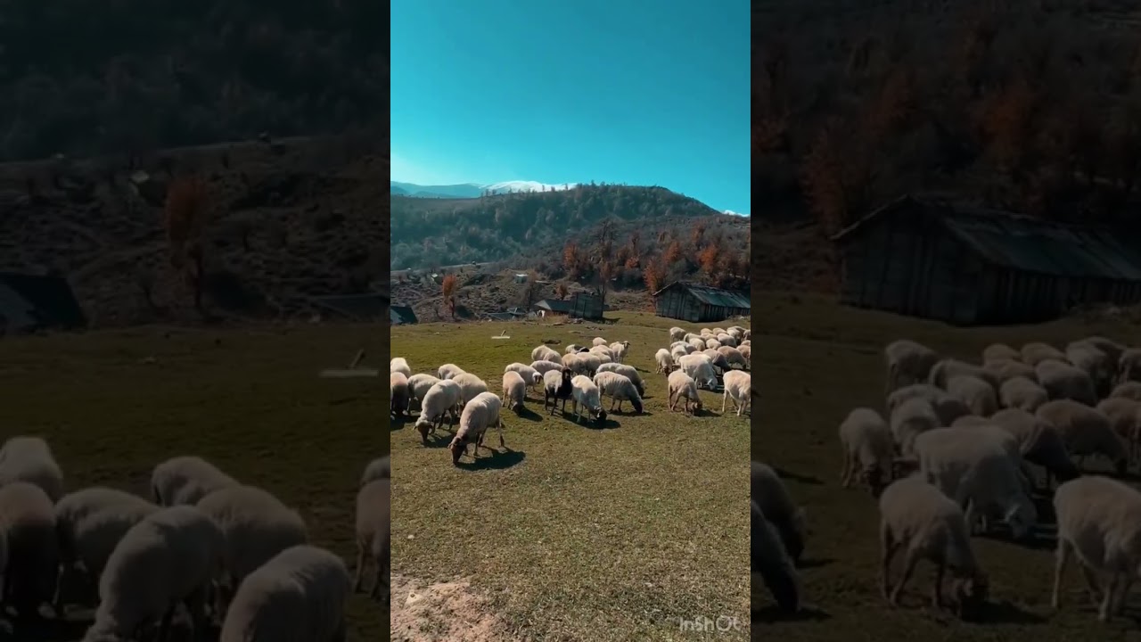 The most relaxing sound...The beautiful nature of Iran