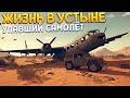 УПАВШИЙ САМОЛЁТ В ПУСТЫНЕ ( Under the Sand REDUX )