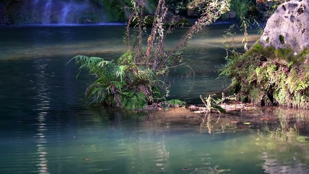 Relaxing Catching the Calm of Zen Релакс Ловим успокоение Дзен