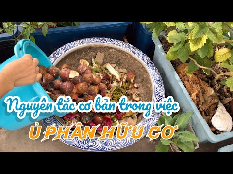 Video: Làm gì với Cỏ Xới - Mẹo Tạo đống ủ Sod