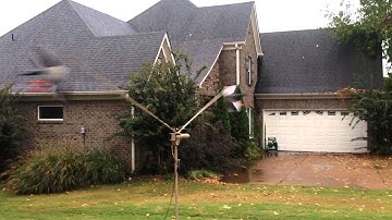 Duck vortex machine homemade