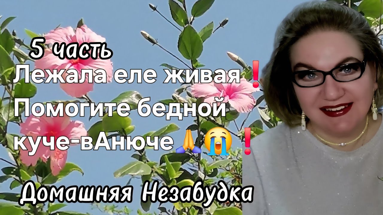 Лежала еле живая❗️Помогите бедной куче-вАнюче🙏😭❗️