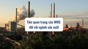 WMS là gì? Giải đáp toàn bộ về Hệ thống Quản lý Kho hàng WMS