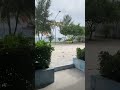 🌴Maldives Gulhi Falhu Sea🌴🌴🌴 #arbic #flyingbird #haryanvising #haryanvistatus #viral #short