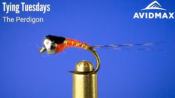 How to tie a Perdigon | AvidMax Fly Tying Tuesday Tutorials