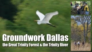 Groundwork Dallas, the Great Trinity Forest & the Trinity River