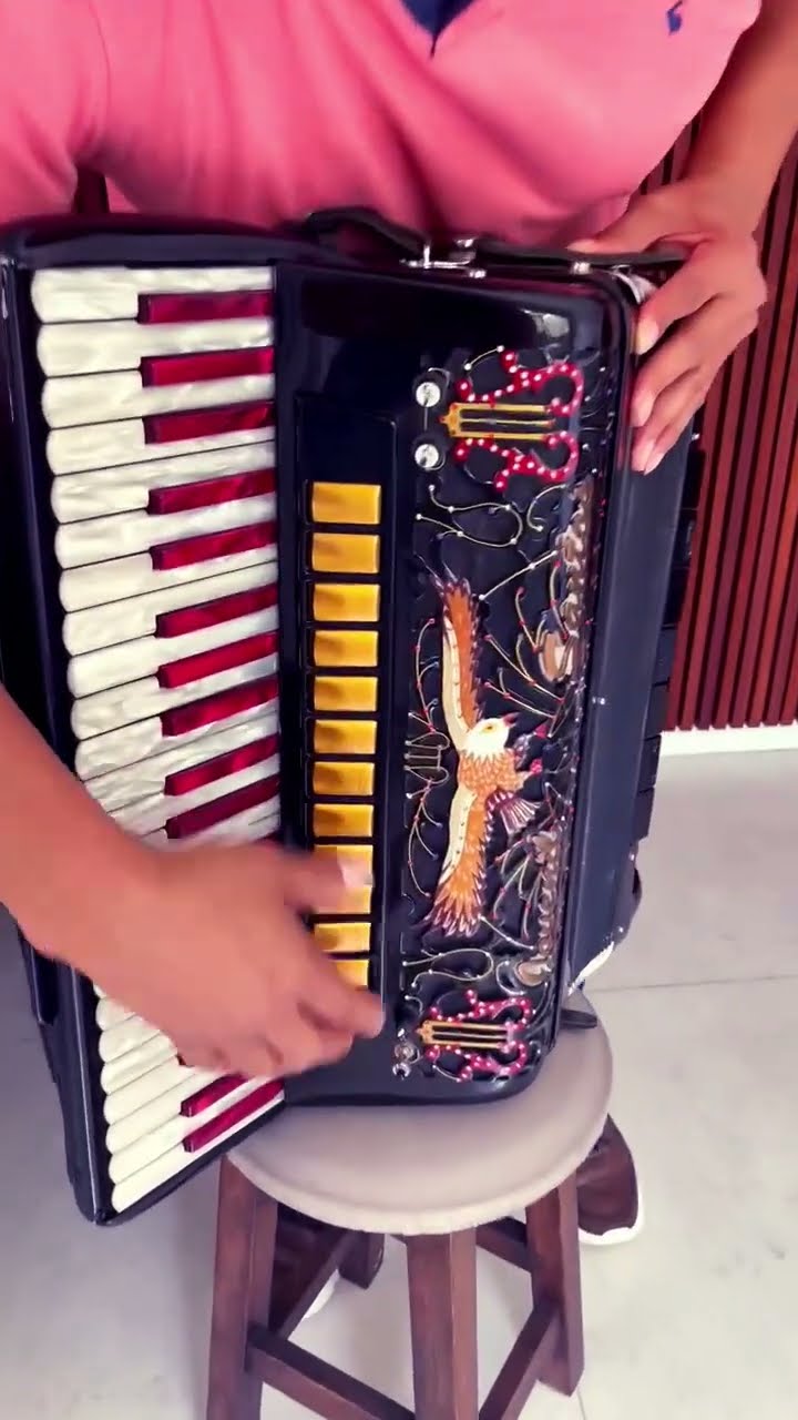 https://rifei.com.br/acordeon-melody-president