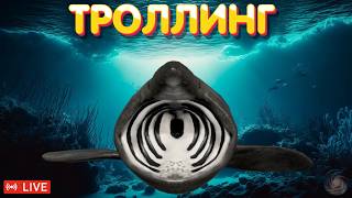 Море - ТРОЛЛИНГ 🔥 стрим на заказ 🔥 Русская Рыбалка 4