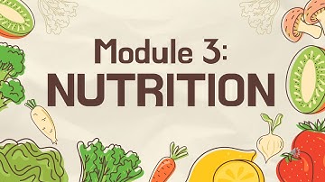 PATHFIT 1: Movement Capacity Training- Module 3: Lesson 1 and 2: Nutrition
