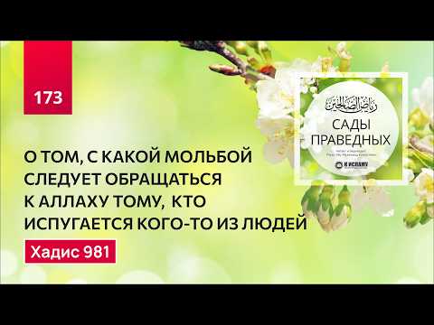 173. Сады праведных. О том, с какой мольбой следует воззвать испуганному. Хадис 981