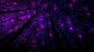 ✨ Space Ambient Music | Starry Night Deep Relaxation