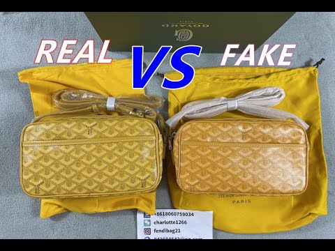 REAL vs FAKE Goyard 2019 Cap Vert Camera Bag 