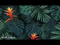 Relaxing hawaiian background music  tropical mood instrumentals