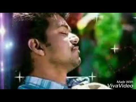 My life full damage vijay song