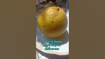 5 Lý Do Bạn Nên Ăn Lê Mỗi Ngày #chualanhtunhien #suckhoe #chamsocsuckhoe #healthy #quale #pear
