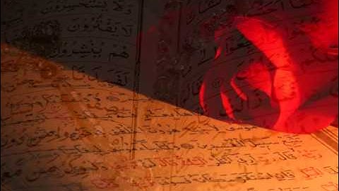 الشيخ عبد الرؤوف بوكثير سورة المائدة Abderraouf Boukthir .wmv