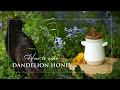 Slow living  how to make dandelion honey  simple living  vegan recipes  life in ireland