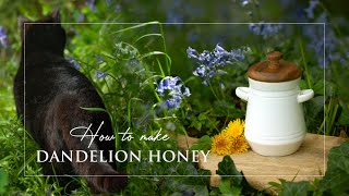 Slow Living | How to make Dandelion Honey | Simple Living | Vegan Recipes | Life in Ireland