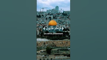 الشيخ سيد سعيد قرآن كريم #الشيخ_سيد_سعيد #قران #تلاوة_مؤثرة #tiktok_arab #quranpak