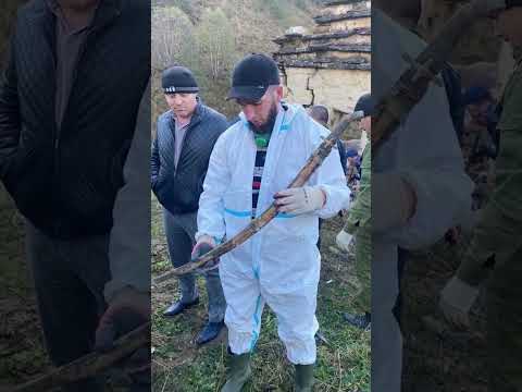 Артефакты из древнего склепа, который обрушился в Ингушетии #shorts #кладоискатели #сокровища