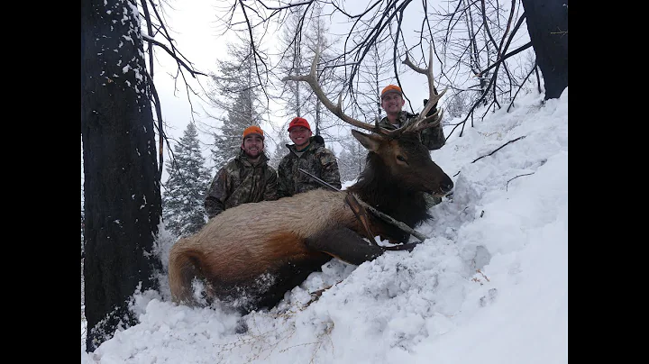 Idaho Elk 2019 - Late Muzzleloader