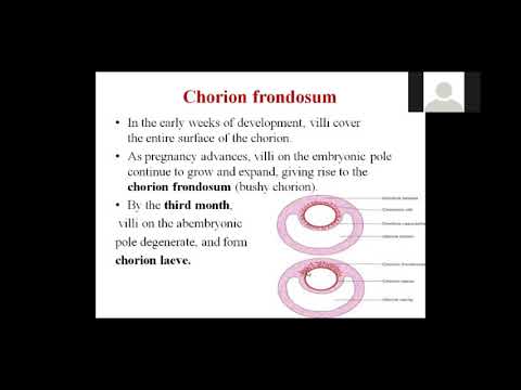 Video: Apakah itu chorionic Frondosum?