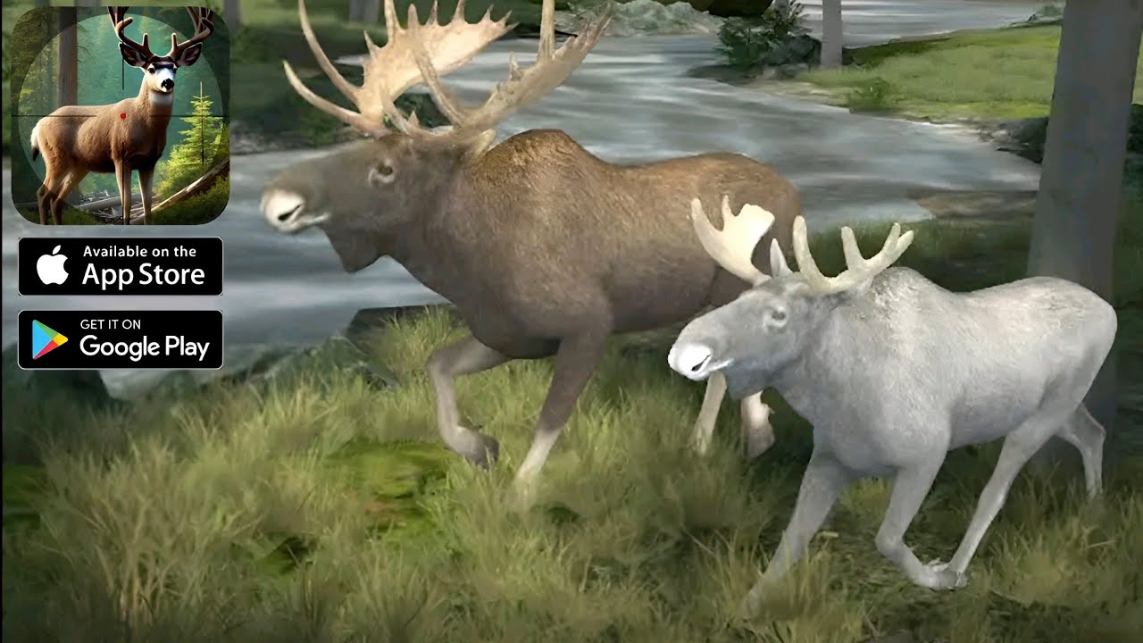 Animal Hunter: Wild Sniper - Tutorial - Gameplay Walkthrough Part 1 ( ANDROID / iOS )