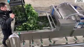 Vegetable or salad washing and air drying line by FoodTec