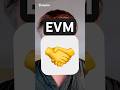 ⚠️ WARNING ⚠️ - EVM on Bittensor (TAO) Explained