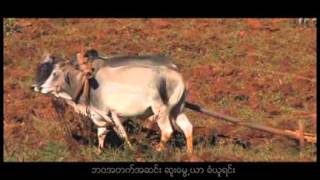 Saw Win Lwin - ဘ၀တဆစခ