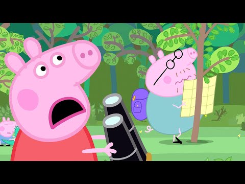 Peppa Pig Português Brasil, Caminhada, Aventura ao ar livre