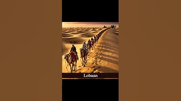 Thumbnail of Echoes of the Desert: The Camel Caravan