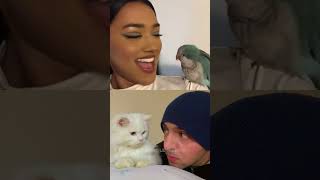 Memes I Found On The Internet Pt.83