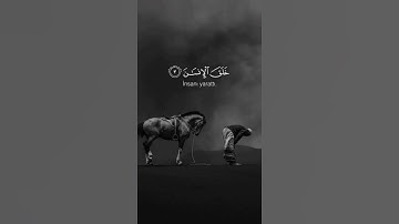 ستوريات دينيه /سورة الرحمـٰن/حالات واتس آب قران / آيات قرانية قصيرة / ستوريات انستقرام#ستوريات_دينية