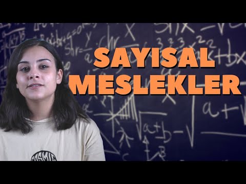 Sayısal Meslekler Nelerdir?