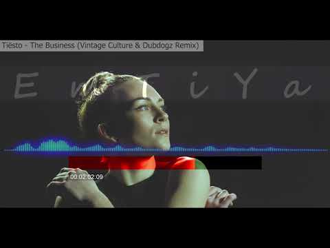 Tiësto - The Business (Vintage Culture & Dubdogz Remix)