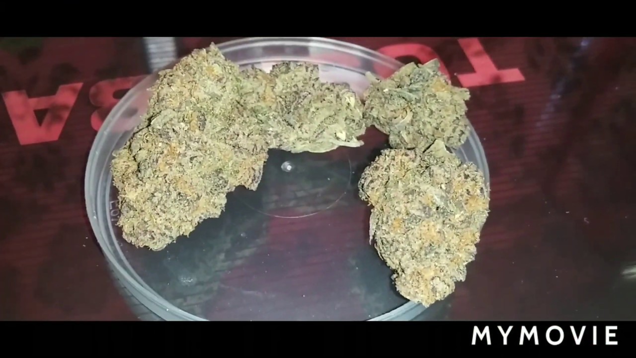 CHOCOLATE Thai Marijuana Strain REVIEW YouTube