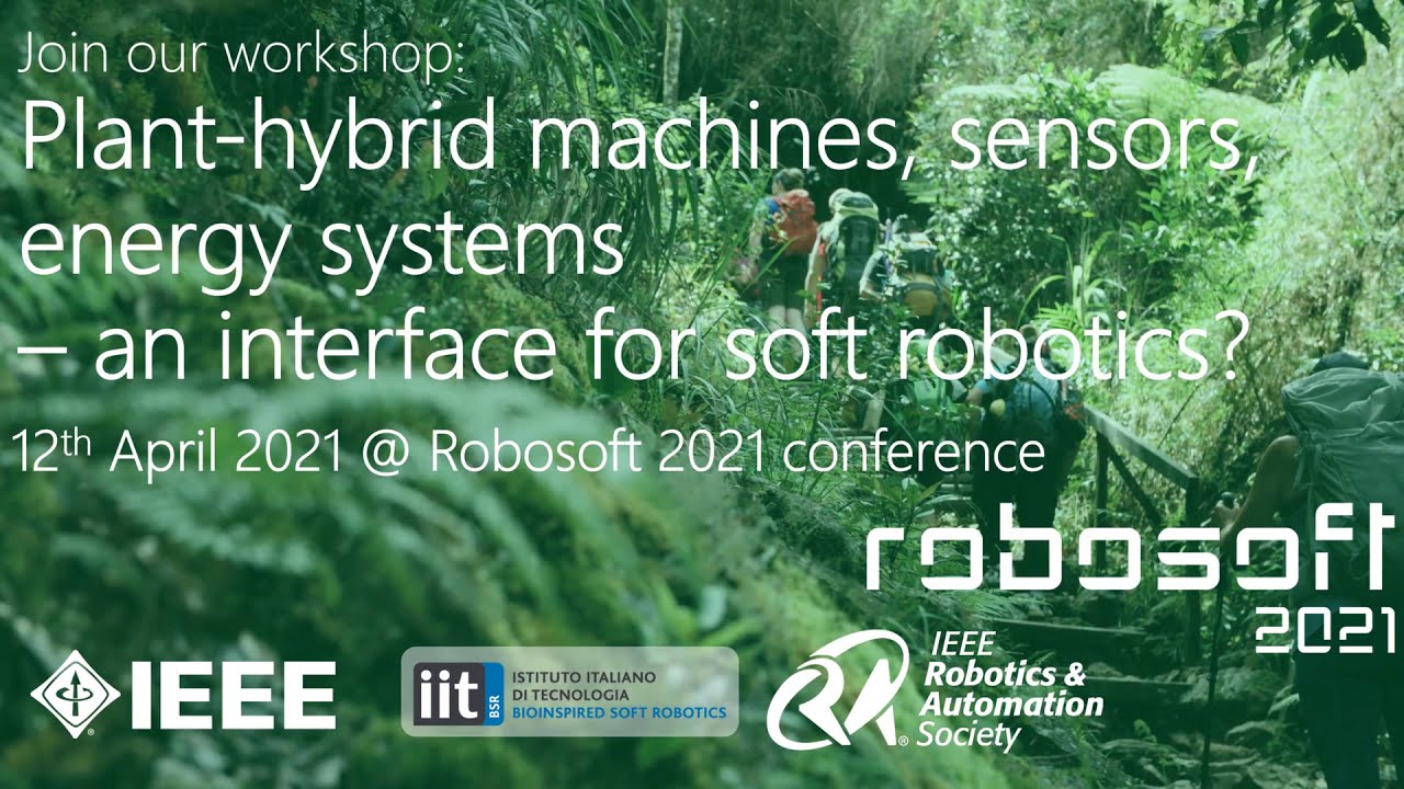Plant-hybrid machines, sensors, energy systems – an interface for soft robotics?